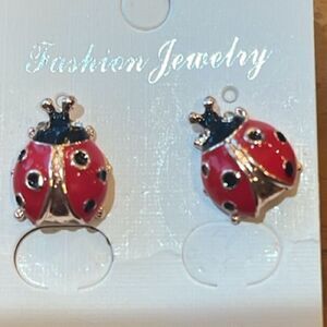 Lady Bug  🐞 LadyBug 🐞 Whimsical Fun Earrings!